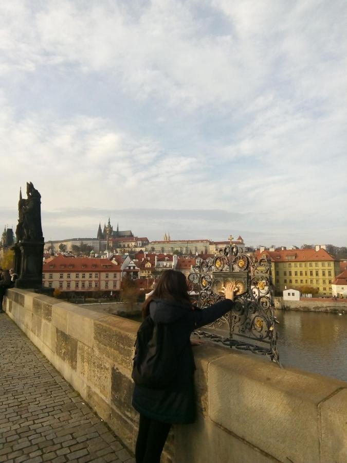 Apartment Apartricanova Prag